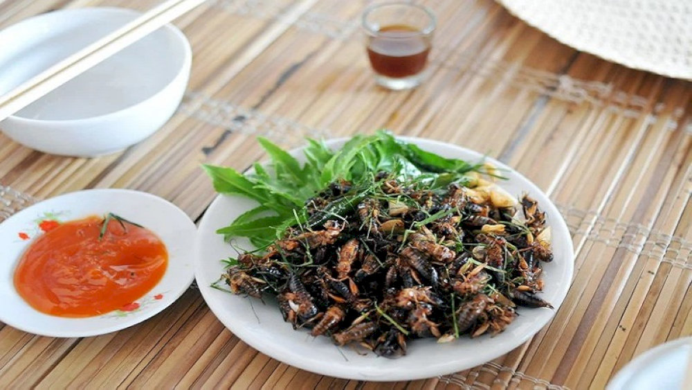Dế cơm chiên nước mắm